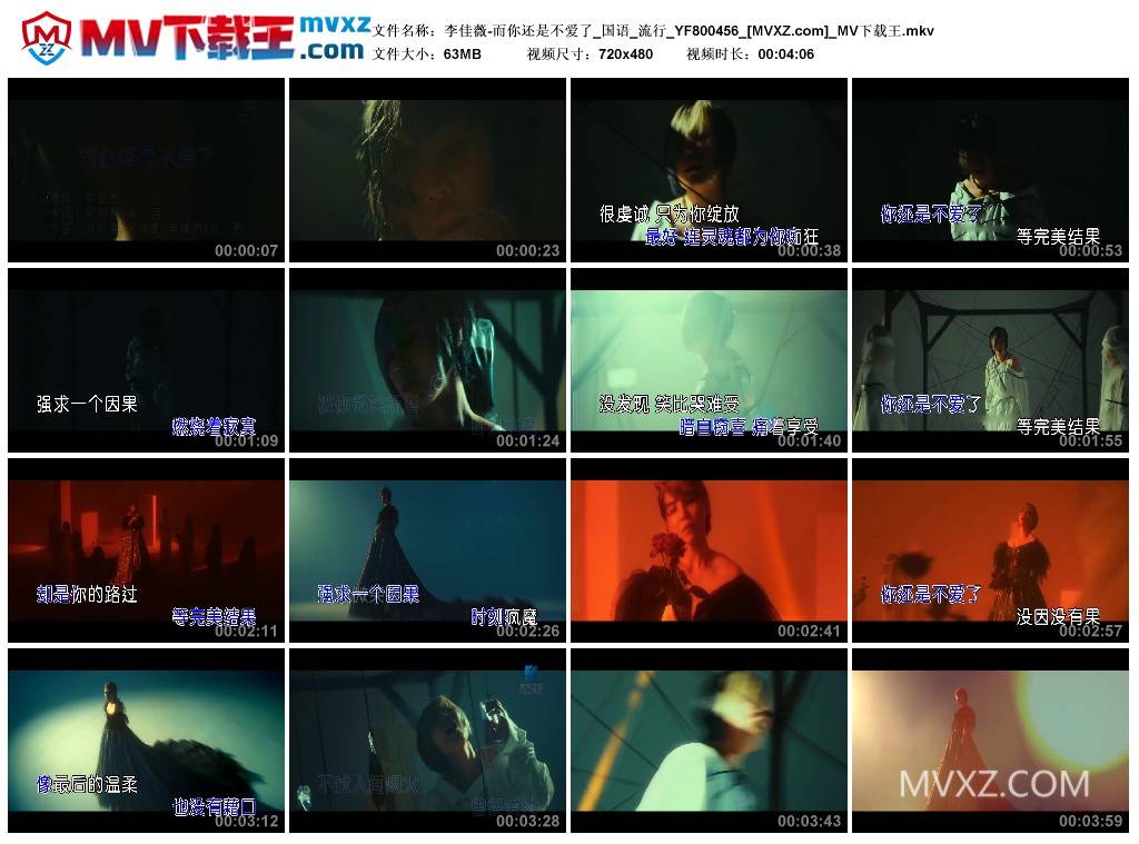 李佳薇-而你还是不爱了_国语_流行_YF800456